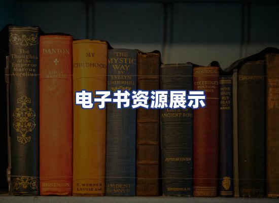 电子书资源展示